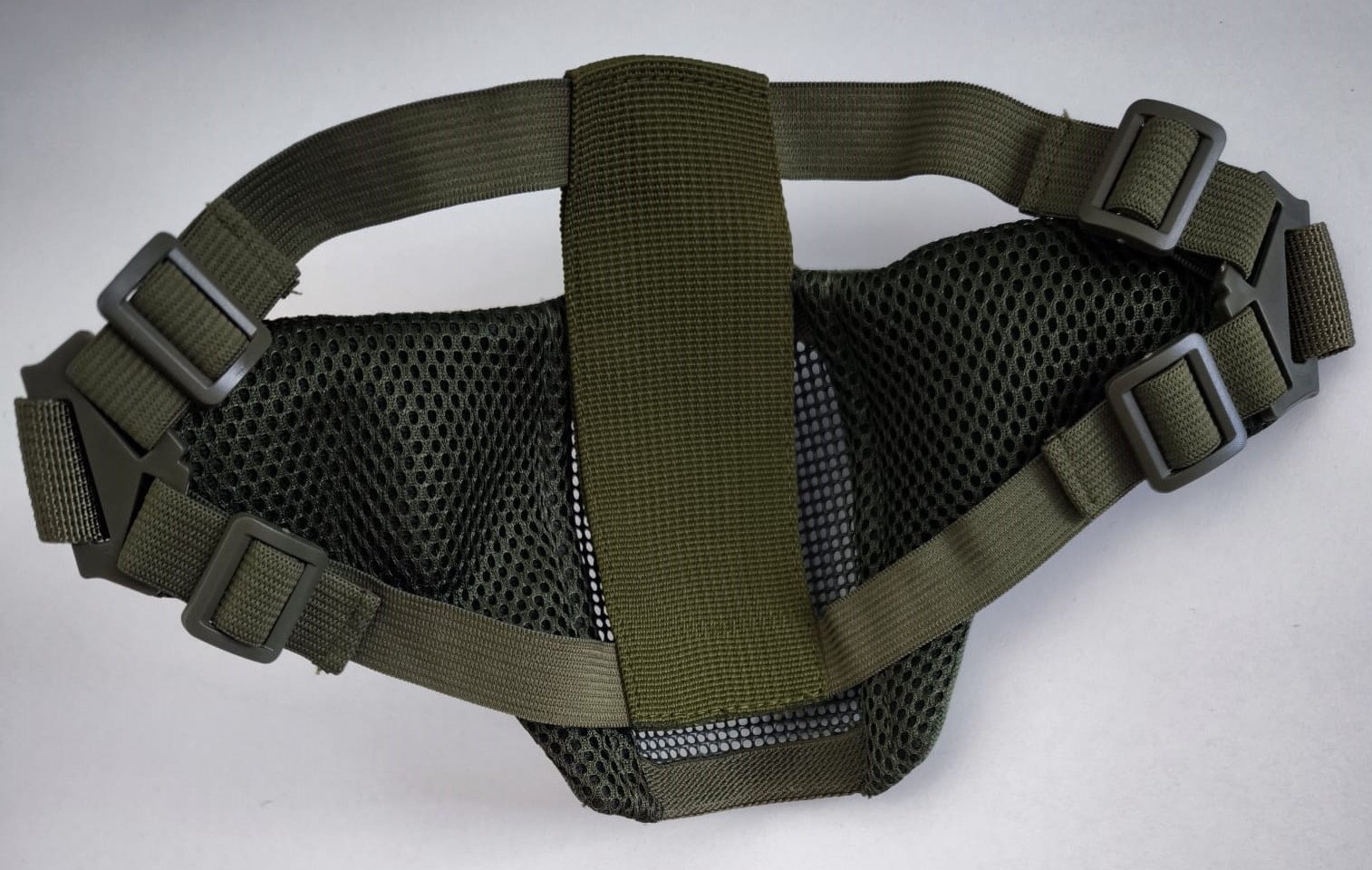 A real photo of Masca Stalker EVO Specna Arms Olive by Andy (4)