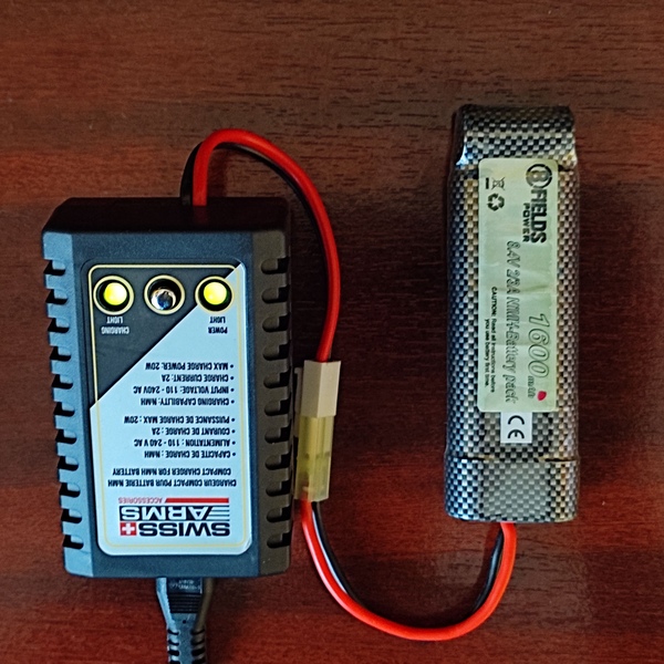 A real photo of Battery NiMH 8.4V 1600mAh 8Fields by Hans (5)