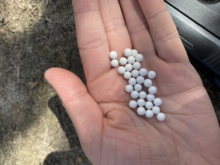 A real photo of BBS BLS 0.25 4000 pcs by Gabor Ervin (4)