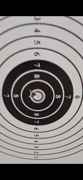 A real photo of Paper target set ASG by Petru (1)