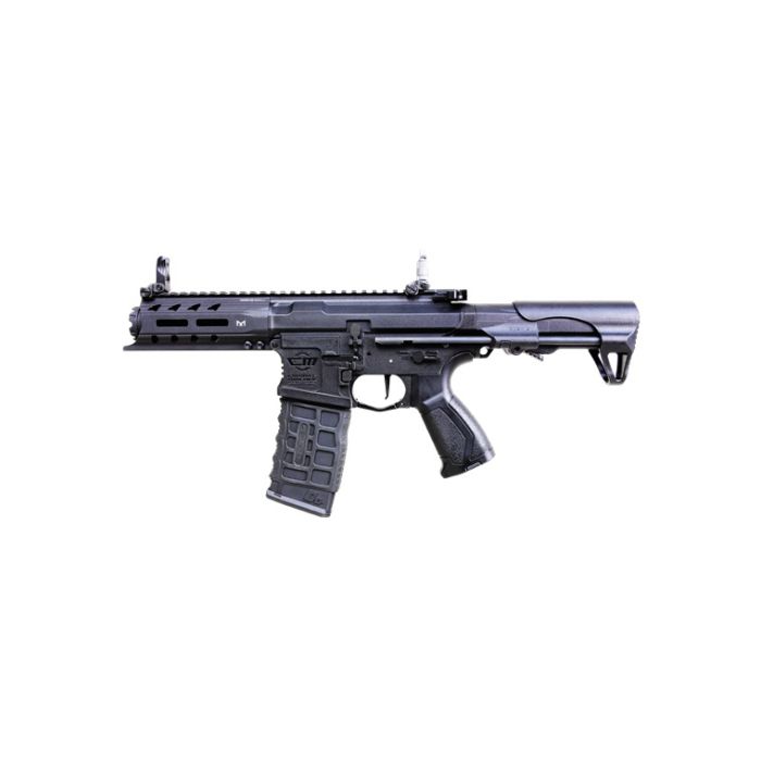 Assault rifle ARP 556 V2S G&G