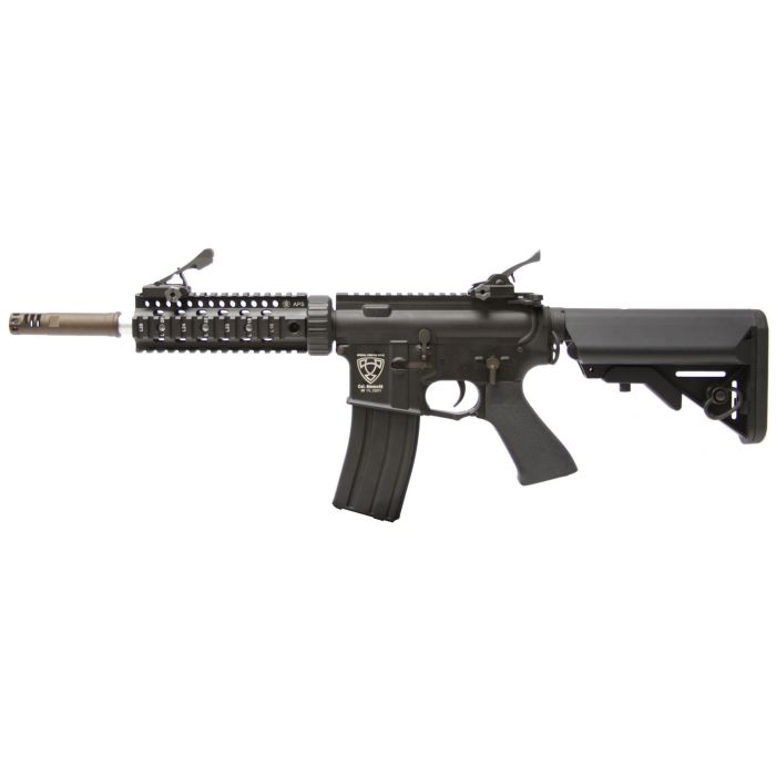 Assault rifle ASR109 APS