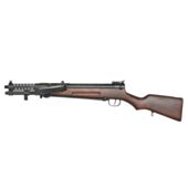 Assault Rifle Japan T100 S&T Wood